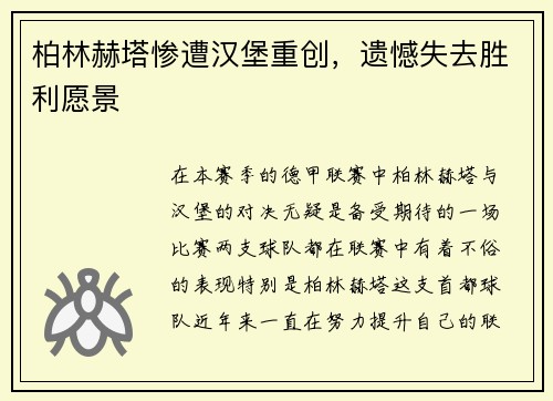 柏林赫塔惨遭汉堡重创，遗憾失去胜利愿景