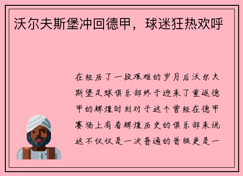 沃尔夫斯堡冲回德甲，球迷狂热欢呼